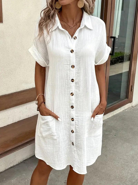 The Timeless V-Neck Blouse Dress